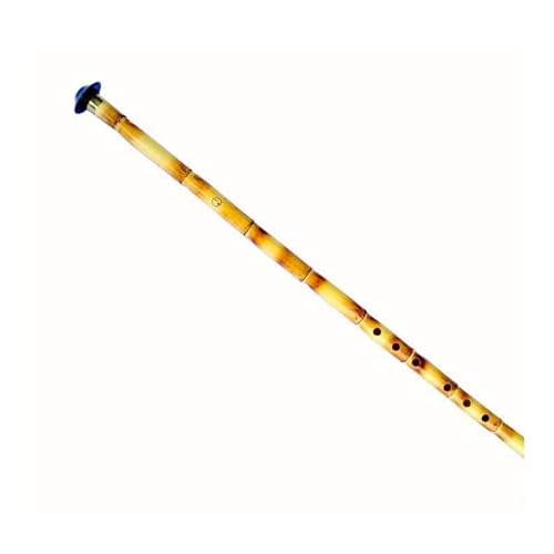 Türkische Ney Nay Flöte Woodwind Musikinstrument AKN-201 (D (Supurde Ney))