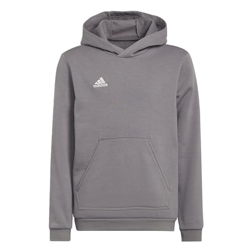 adidas Unisex Kinder Entrada 22 Sweat Hoodie, Team Grey Four, 152