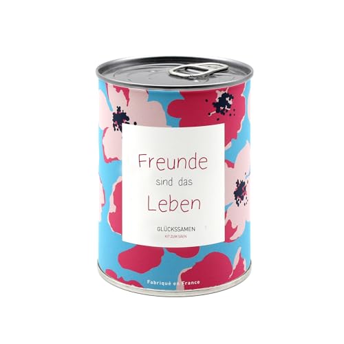 Geschenk-Anzuchtset mit personalisierter Nachricht - Geburtstagsgeschenk für Damen Herren, originelles Geschenk für Freunde Familie,für Feiern - Einfach zu verwenden - Blumen (Freundin)