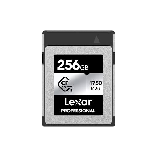 Scheda di memoria Lexar 256GB