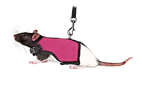 Trixie 61511 Softgeschirr mit Leine für Ratten, Nylon, 12–18 cm, 1,20 m, farblich sortiert