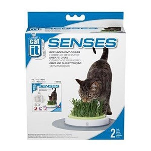 Catit Design Senses Gras Garten, Katzengras Nachfüllbeutel, 2er Pack