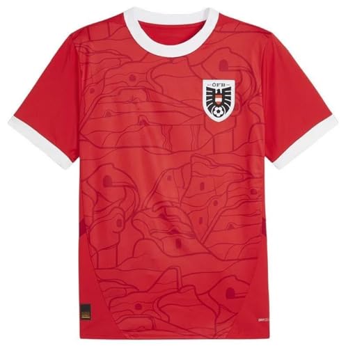 Österreich Trikot Fußball Herren 2024 Trikot Heim Away Herren Euro 2024, Austria Fußball-Fans Trikot – Österreichische Fußball-Fans T-Shirt