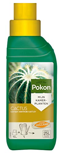 Pokon Kakteen-Flüssigdünger, Flüssige Spezialnahrung für alle Kakteen & Sukkulenten, Spezialdünger mit Magnesium (MgO) und Eisen (Fe), 250ml