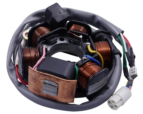 2EXTREME Lichtmaschine Stator kompatibel für Piaggio Sfera NSL 50, Zip SSL 25-99, TPH Typhoon 50, Sfera RST 50, NRG 50 mc2 LC, Zip Fast Rider 50, NRG 50