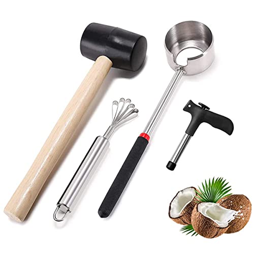 HZIYOU Kokosnussöffner-Werkzeug-Set, Edelstahl-Kokosnussöffner-Kit in Lebensmittelqualität, Schalenöffner, Hammer, Kokosreibe, Lochöffner (4 Stück)