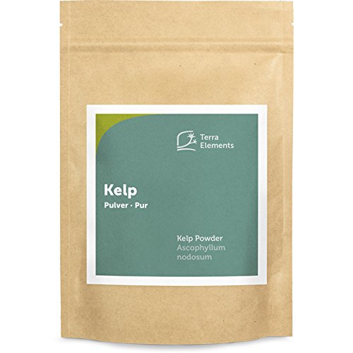 Terra Elements Kelp Pulver, 250 g I Knotentang I Braunalge I Ascophyllum nodosum I Wildwuchs I 100% rein I Vegan I Rohkost