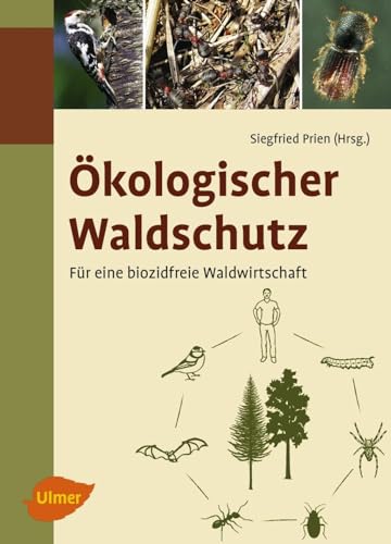 Ökologischer Waldschutz: Für eine biozidfreie Waldwirtschaft