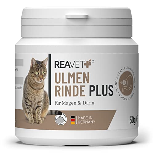 ReaVET Ulmenrinde Plus stark schleimend ohne Aufkochen für Katzen 50g – Naturrein in Premiumqualität, Bessere Verdauung und Darmflora, Ulmenrinde zur Darmsanierung, Slippery Elm Bark