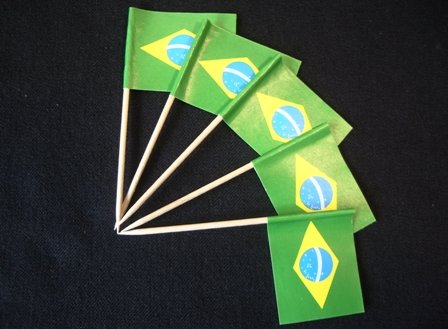 Everflag Zahnstocher : Brasilien 50er Packung