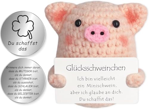 Tixlux Pocket Hug Glücksschweinchen, Kreative Strickwolle Minischwein Puppe und Kleine Umarmung Glücksbringer (Silber), Mutmacher Geschenk, Gute Besserung Geschenk, Einschulung Geschenk