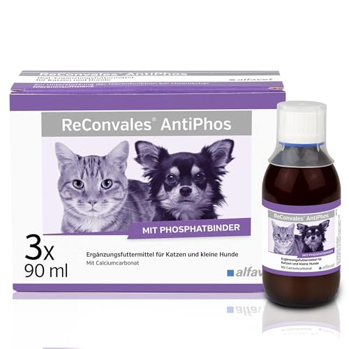 Alfavet ReConvales AntiPhos, zur Unterstützung der Nierenfunktion von Katzen und Hunden, Nahrungsergänzung mit Phosphatbinder, 3 x 90ml Flaschen