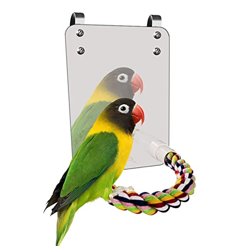 Vogel Spiegel Spielzeug Mit Seil Barsch Große Spiegel Ständer Bar Set Bunte Kauspielzeug Für Papagei Wellensittich Nymphensittiche Conure Finch Afrikanischen Grauara Käfig Hängendes Spielzeug