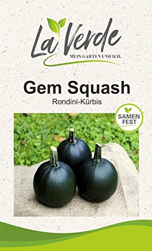 Gem Squash Kürbissamen