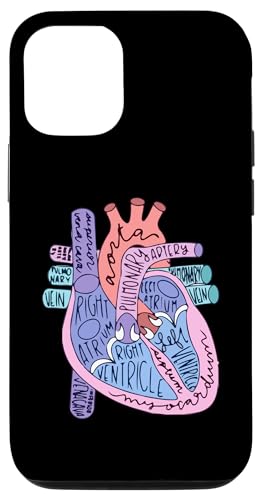 Hülle für iPhone 15 Herzspezialist Anatomie Arzt Medizinische Biologie Organarterie