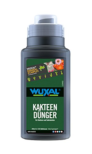 Wuxal Kakteendünger flüssig 250ml Black Line