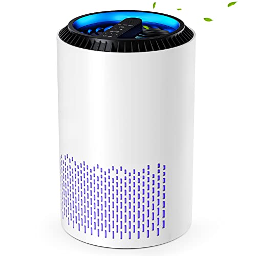 CONOPU Luftreiniger Allergiker, Air Purifier mit hocheffizientem Filter, Luftfilter mit Zeitschaltuhr, Raumluftreiniger mit Aromatherapie, für Staub Geruch