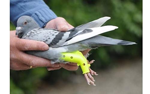 BVT 2 Prothese für Tauben Beinschiene - Brieftauben- Rassetauben Taube-Vogel- Vögel -Geflügel