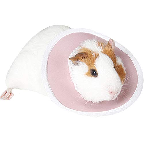 ZuckerTi Halskrause Halskragen Schutzkragen Wundheilung Hundehalsband Cone Schutz Smart Halsband Sicherheit für Kleintiere Eichhörnchen Meerschweinchen Ratte Mäuse Hamster Hase Kanichen kleine