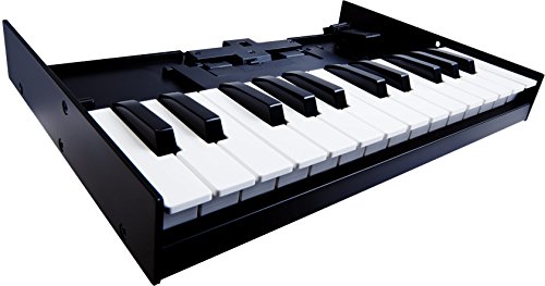 Roland Boutique K-25M Keyboard Unit