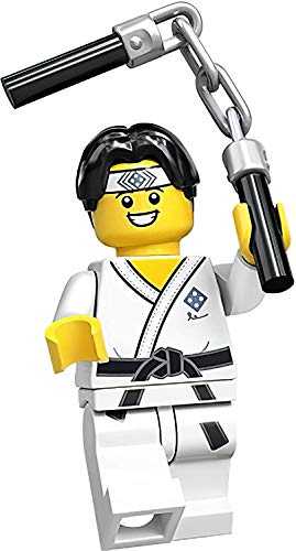 LEGO Minifigures Collectible Serie 20 (71027) - Martial Arts Boy