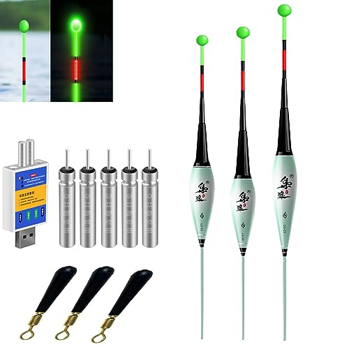 3 Stück Led Posen Angeln, 6g/8g/9g Posen Angeln Smart Mit Gravity Sensing Und Metall Basis, Angel Zubehör Zum Angeln Am See, Fluss Oder Teich. (D)