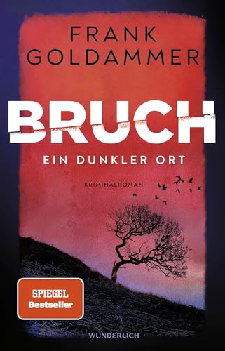 Bruch: Ein dunkler Ort: Ein dunkler Ort