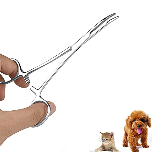 Oumefar Edelstahl Pet Ear Haar Pinzette Dog Home Pflege Schere Katzenohr Gesichtsreinigung Straight Clamp Curved Hair Pullers für dünner werdende Scheren(Big)