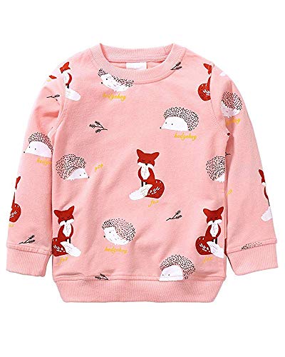 Little Hand Mädchen Sweatshirt für Kinder Baumwolle Top Casual Jumper Kleinkind Langarm Pullover, 104 / HerstellerGröße: 100, 1-rosa