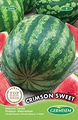 Wassermelone Crimson Sweet