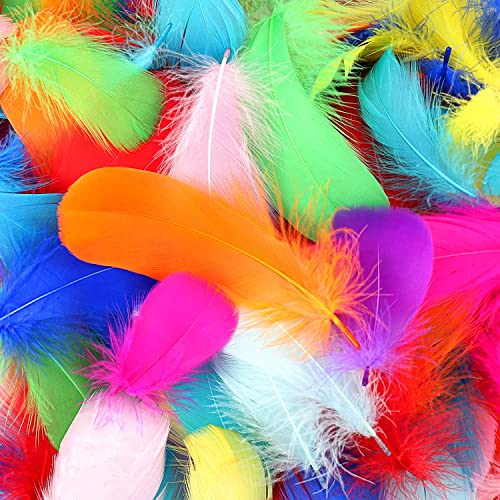 RaG 400 Stück Bunte Federn Gänsefedern 8-12cm Federn für Halloween Fest Masken, Verschiedene Geburtstagsfeier Hochzeitsfest Partydekorationen