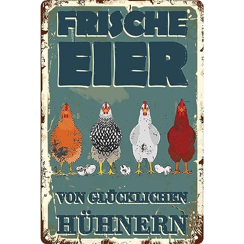 Hühnerstall Outdoor Blechschild-frische Eier glückliche Hühner Metallschild,Lustige Coop Metallschilder Vintage Schild Hühnerstall Zubehör Outdoor Deko(30x20cm)