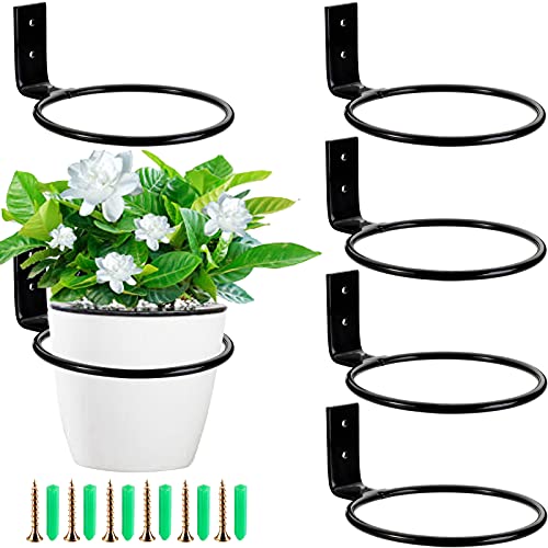 WUWEOT 6 Stück Wandhalterung Blumentopf 10cm Blumentopfhalter Wand Ring Wandmontage Pflanzen Pflanzenhalter für Haus Garten Balkon Schwarz