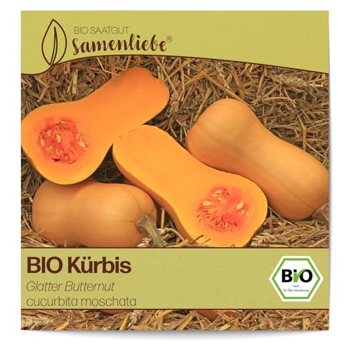 Samenliebe BIO Kürbis Samen Glatter Butternut 10 Samen samenfestes Gemüse Saatgut für Gewächshaus und Freiland BIO Gemüsesamen