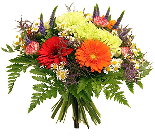 frische Blumen versenden zum Geburtstag - Lieferung in 1-2 Werktage - Blumenstrauß von Flora Trans - Farbspektrum -