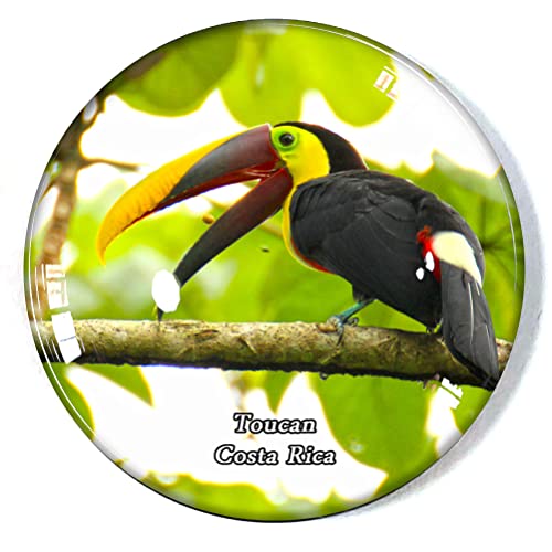 Kühlschrankmagnet, Motiv: Toucan Costa Rica, Kühlschrankmagnet, Gefrierschrank, Souvenir, Dekoration, Magnetaufkleber, Glashandwerk