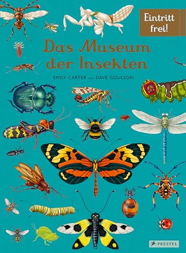 Das Museum der Insekten: Eintritt frei!