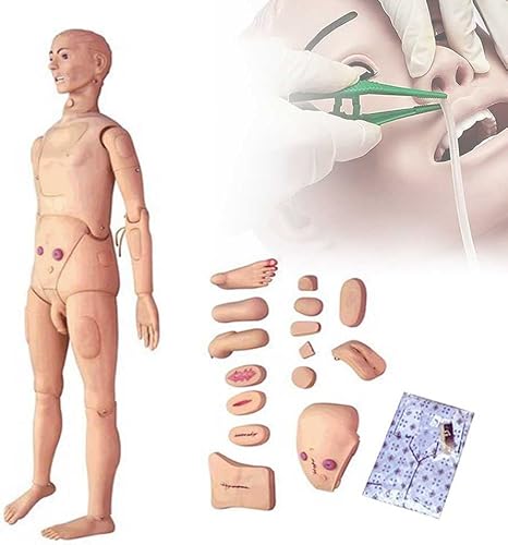 Hochwertiger Patientenversorgungssimulator männlicher und weiblicher Körperpflegesimulator Model Pflege Manikin Schaufensterpublikum Patient Bildungsbehörde Körperpflege Dummy