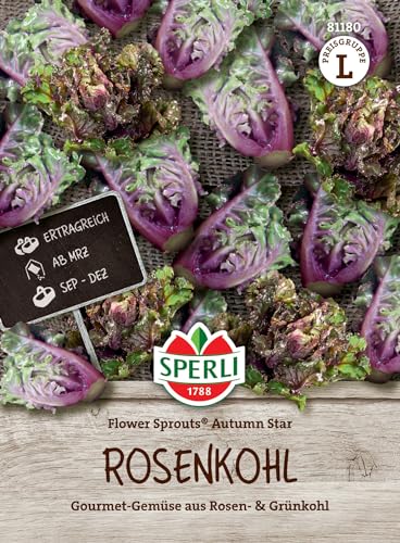 81180 Sperli Premium Rosenkohl Samen Flower Sprouts | Neuheit | Mischung aus Rosenkohl und Grünkohl | Rosenkohl Saatgut | Kohl Samen