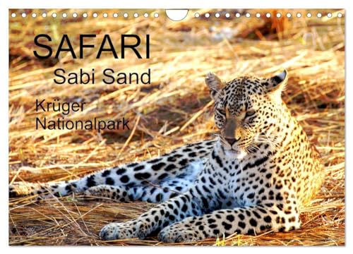 Safari / Afrika (Wandkalender 2025 DIN A4 quer), CALVENDO Monatskalender: Traumhafte Safari-Reise in Sabi Sand "Big 5" hautnahe erleben (CALVENDO Tiere)