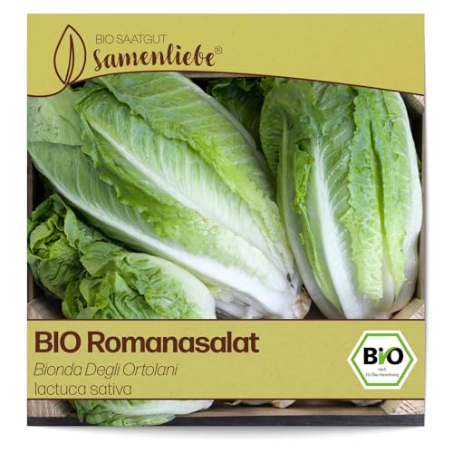 Samenliebe BIO Romanasalat Samen Bionda Degli Ortolani knackiger Romasalat großer Salat grün 500 Samen samenfestes Gemüse Saatgut für Gewächshaus Freiland und Balkon BIO Gemüsesamen