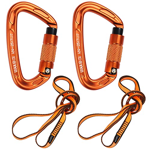 Karabiner Klettern Kletterausrüstung, 2 Stück UIAA-Zertifiziert 25KN Auto Locking Kletterkarabiner Clips +2 Stück 23KN Nylon Seil，zum Klettern, Bergsteigen, Wandern, Notfallausrüstung