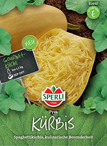 Sperli 81440 Kürbis Pyza, hellgelber bis 1,5 kg schwerer Spaghettikürbis