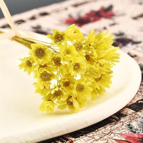 30 Stücke Getrocknete Blumen UV Harz Füllstoff Mini Brasilien Stern Chrysantheme Blume DIY Epoxidharz Form Kunsthandwerk Schmuckherstellung Zubehör