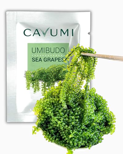 CAVUMI Sea Grapes 25gr / Meerestrauben als Algen Snack/Getrocknete Seealgen/Umibudo als knackiger Grüner Kaviar