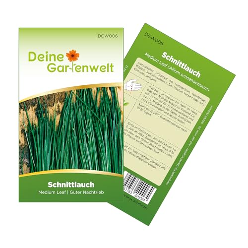 Schnittlauch Medium Leaf Samen - Allium schoenoprasum - Schnittlauchsamen - Kräutersamen - Saatgut für 300 Pflanzen