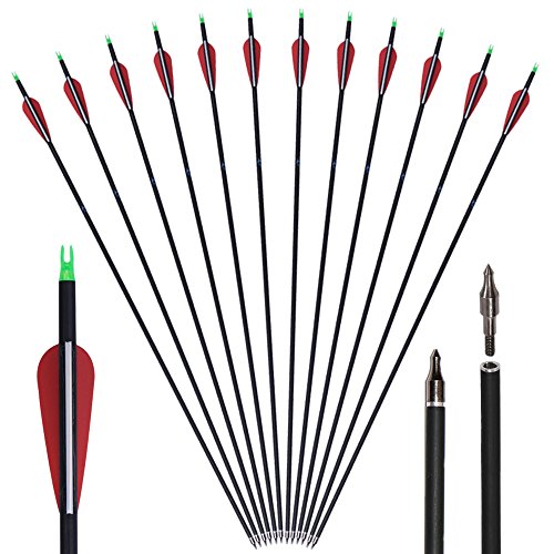 Huntingdoor 12er Pack 30 Zoll Carbonpfeile Jagdpfeile mit Vanes und drehbare Nocken 550 Spine Pfeile für bogenschießen für Recurvebogen Compoundbogen Langbogen Zielübungen im Freien (Rot)