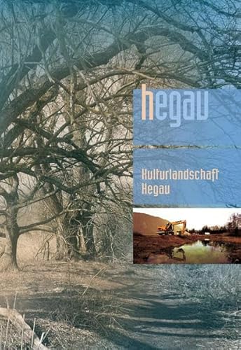 HEGAU Jahrbuch 2019: Zeitschrift für Geschichte, Volkskunde, Naturgeschichte des Gebietes... / Kulturlandschaft, Naturlandschaft, Kiesabbau, ... Geistliche Bilder im Hegau und am Bodensee