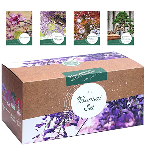 Bonsai Starter Kit – 4 außergewöhnliche Bonsai Samen für dein eigenes Bonsai Baum Projekt. Nachhaltiges & plastikfreies Bonsai Anzuchtset - einzigartiges Geschenk für Frauen und Männer. Bonsai Set