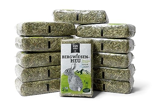 Hayrabbit - Bergwiesenheu 12kg - Heu Aus Deutschen Gründlandregionen - Abgepackt In 1kg Beuteln